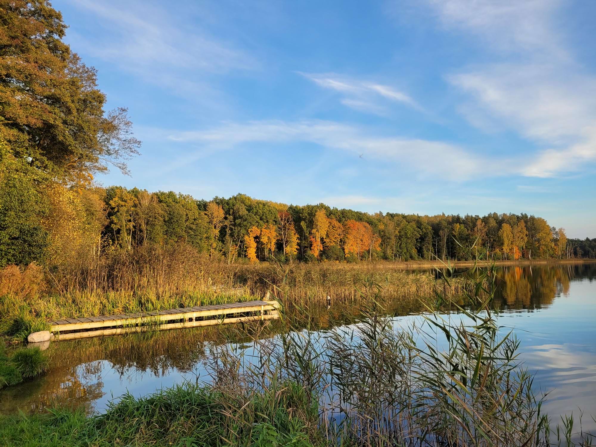 Jezioro z drewnianym pomostem, jesienne drzewa i spokojna tafla wody